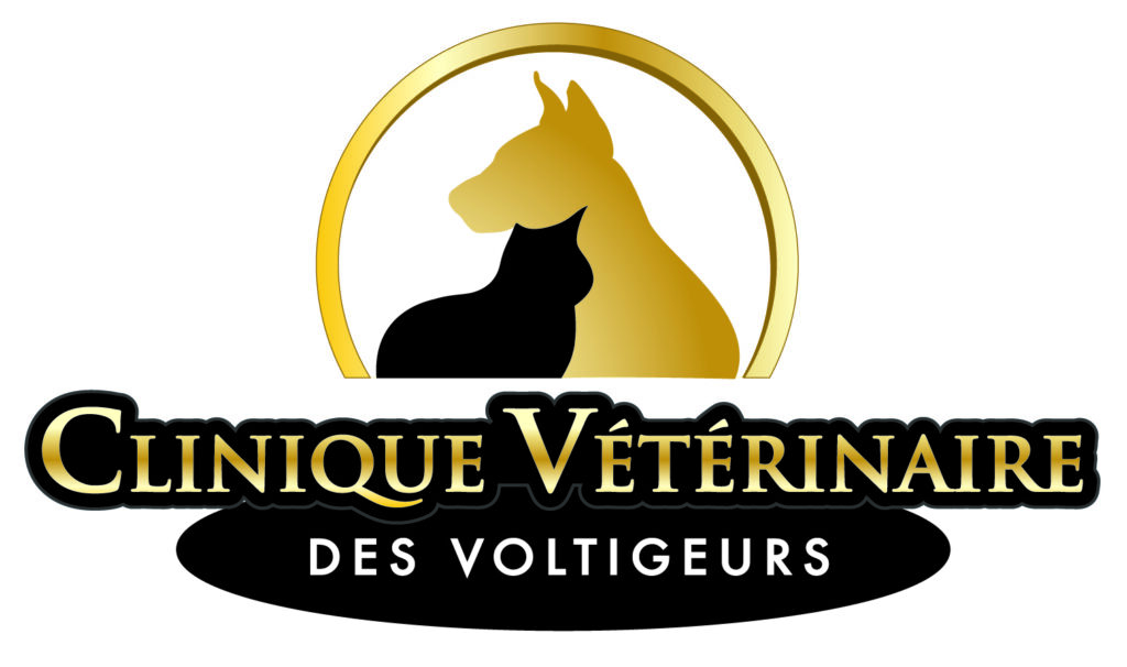Logo clinique voltigeurs final plan de travail 1